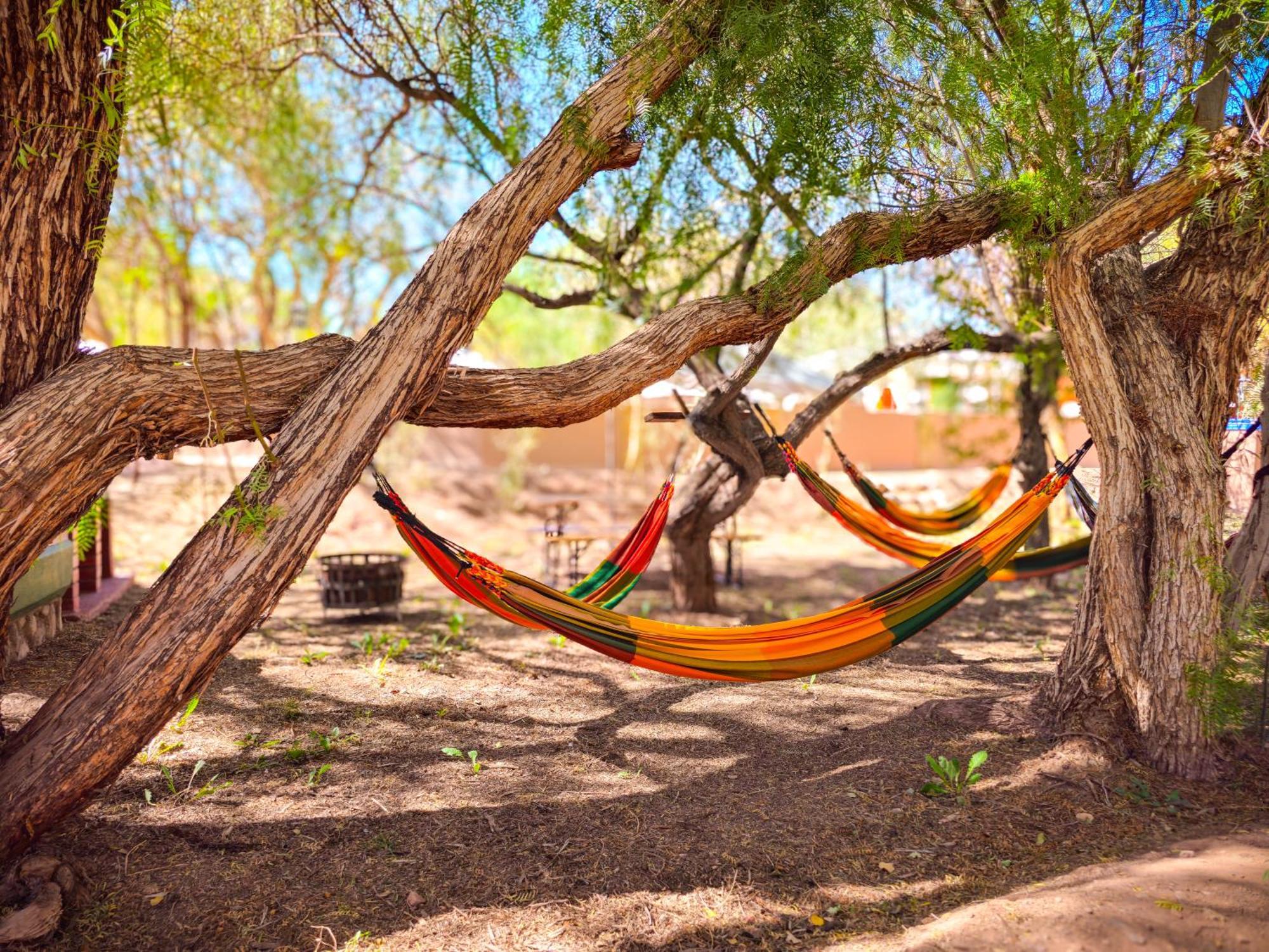 Lodge Ancar Atacama San Pedro De Atacama Esterno foto